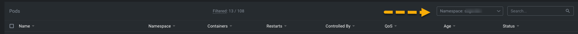 Lens Pod Namespace
